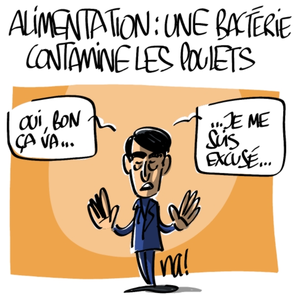 Nactualités : alimentation, une bactérie contamine les poulets