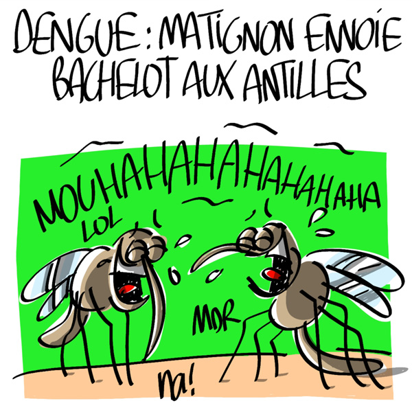 Nactualités : dengue, Matignon envoie Bachelot aux Antilles