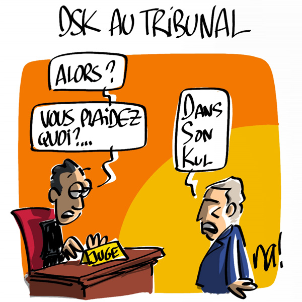http://www.dessinateur.biz/blog/wp-content/uploads/2011/06/753_DSK_tribunal.jpg