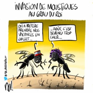 Invasion de moustiques au Grau Du Roi