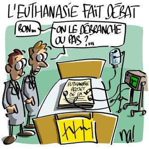 Nactualités : l’euthanasie fait débat…