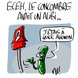 Nactualités : e.c.e.h, le concombre avait un alibi…