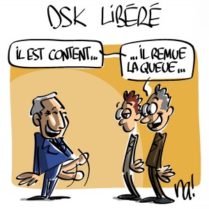 Nactualités : DSK libéré