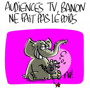 Nactualités : audiences TV, Tristane Banon ne fait pas le poids