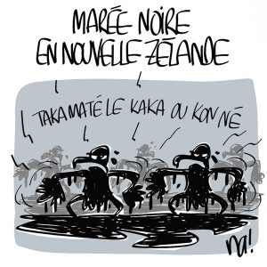 Nactualités : marée noire en Nouvelle Zélande