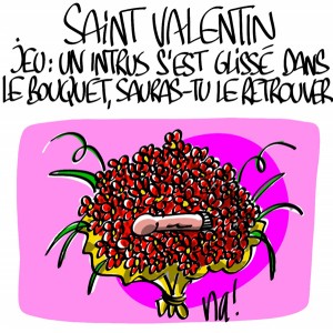 Nactualités : le jeu de la Saint Valentin