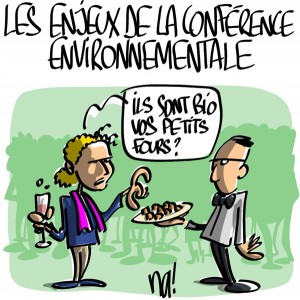 Nactualités : les enjeux de la conférence environnementale