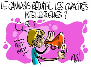 Nactualités : le cannabis réduit-il les capacités intellectuelles ?