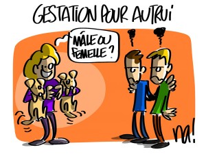 Nactualités : Gestation pour autrui