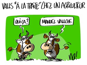 humour vache