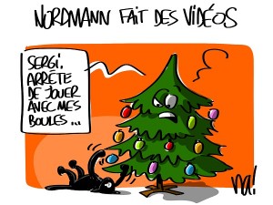 Comprenne qui pourra…