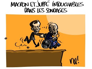 intouchables… dans les sondages