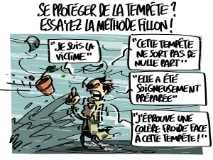 Comment se protéger de la tempête ?