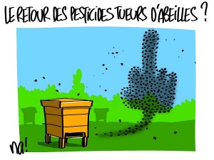 Le retour des pesticides tueurs d’abeille ?