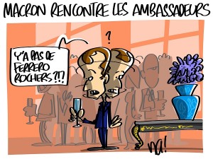 Macron et les ambassadeurs