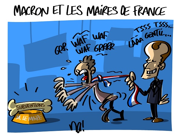 2176_macron_et_les_maires_de_france