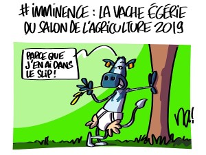 Imminence, la star du salon de l’agriculture 2019