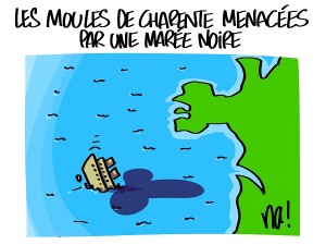 Les moules de Charente menacées par une marée noire
