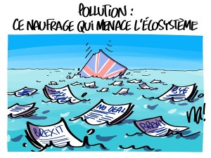 Pollution, ce naufrage qui menace l’écosystème