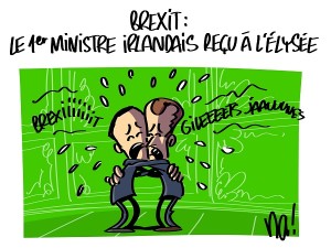 Le premier ministre irlandais reçu à l’Elysée