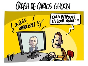 Crash de Carlos Ghosn