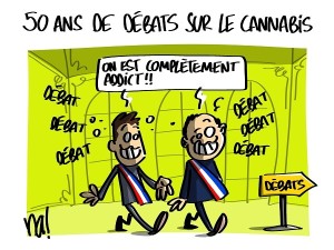 50 ans de débats sur le cannabis