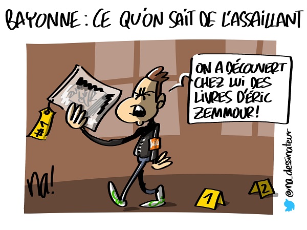 mardessin_2579_bayonne_assaillant