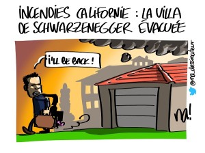 incendies Californie : la villa de Schwarzenegger évacuée