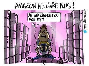 Amazon ne livre plus