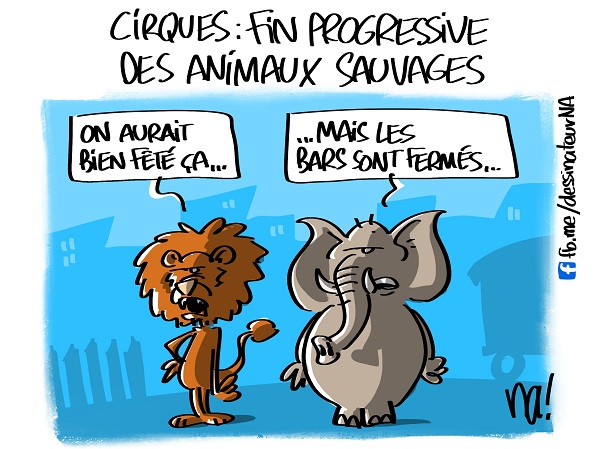 mardessin_2773_fin_des_animaux_sauvages_dans_les_cirques