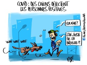 Covid, des chiens détectent les personnes positives