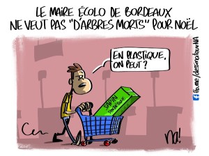 Le Maire écolo de Bordeaux ne veut pas « d’arbres morts » pour Noël