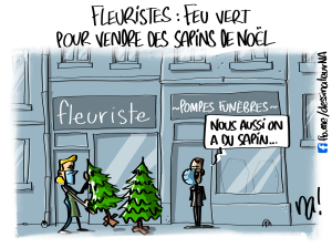 Fleuristes, feu vert pour vendre des sapins de Noël