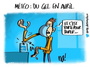 météo, du gel en avril