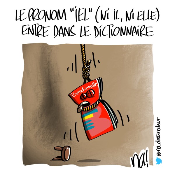 jeudessin_3011_iel_entre_dans_le_dico_hd