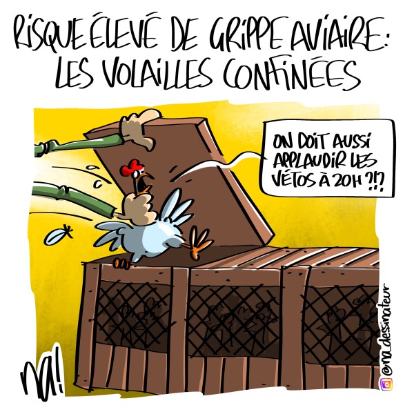 vendredessin_3004_grippe_aviaire_volailles_confinées_hd