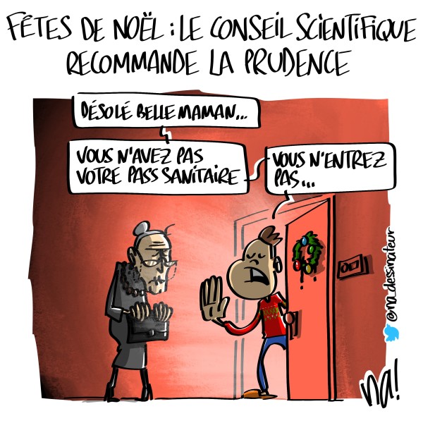 mardessin_3029_noel_conseil_scientifique_hd