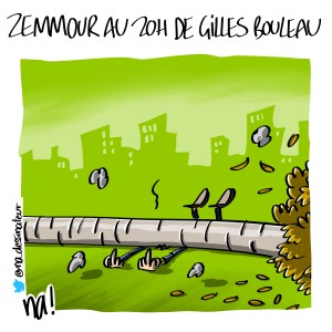 Zemmour au 20h de Gilles Bouleau