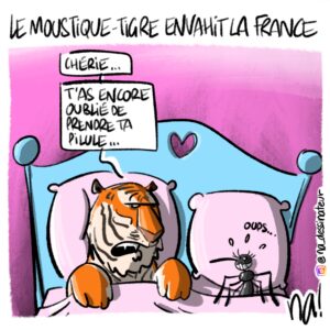 Le moustique-tigre envahit la France